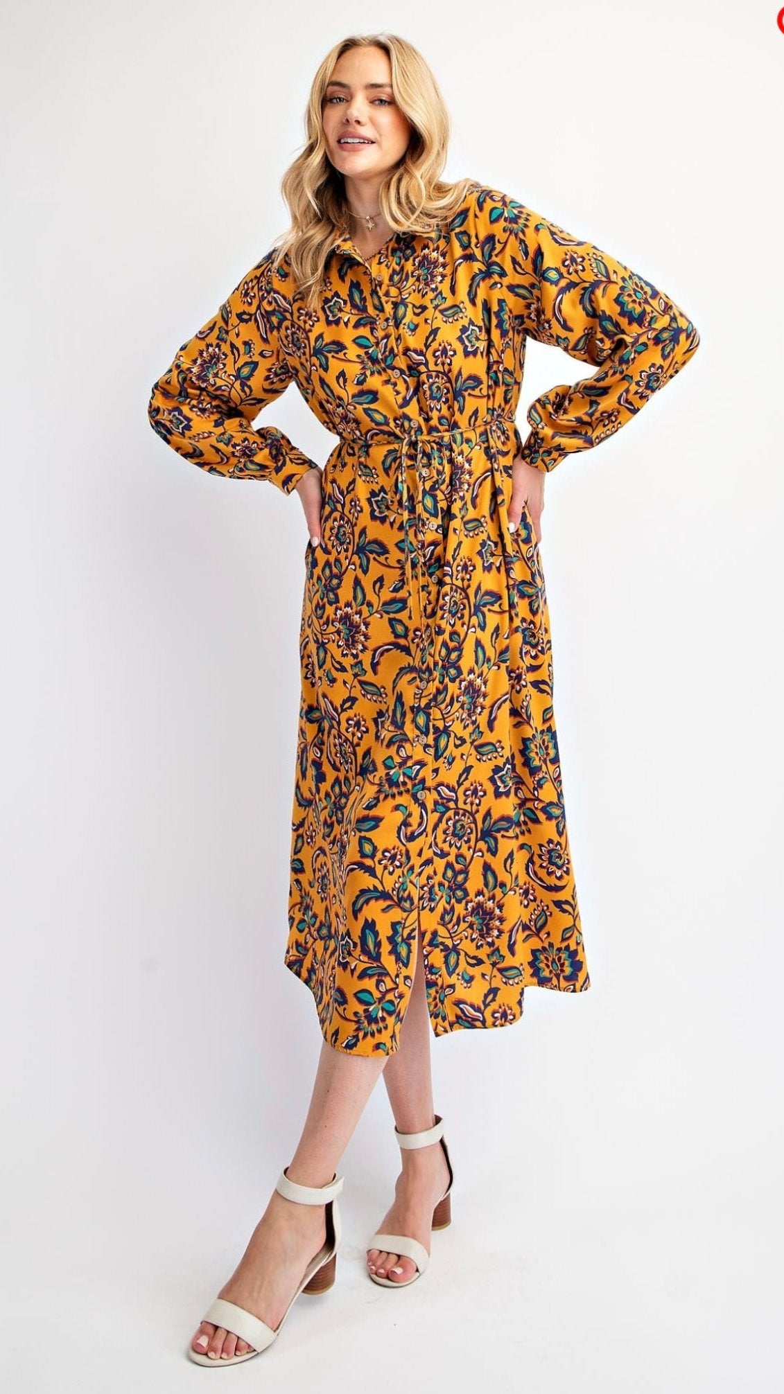 Carley Paisley Plus Size Dress