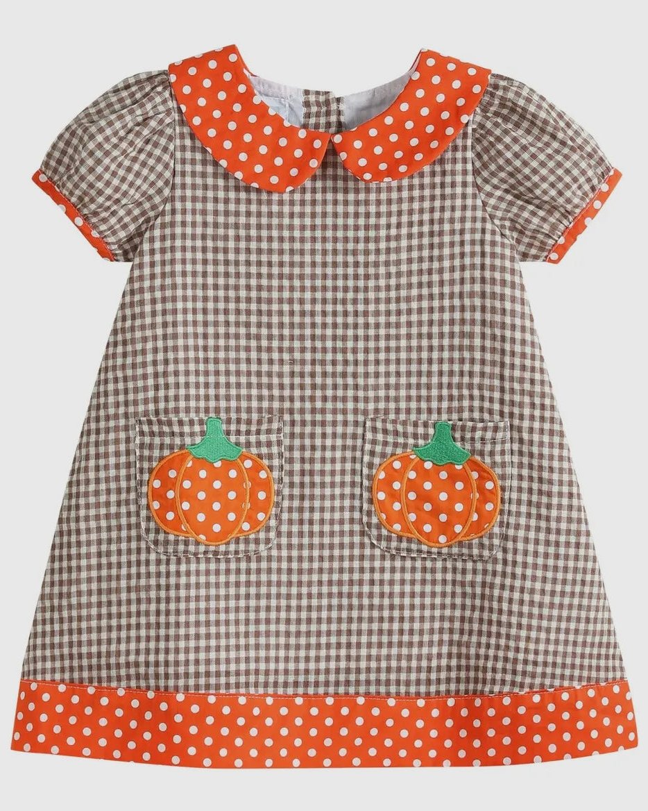 Lil Cactus Brown Gingham A-Line Dress
