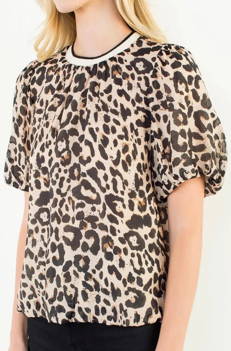 The Darian THML Top
