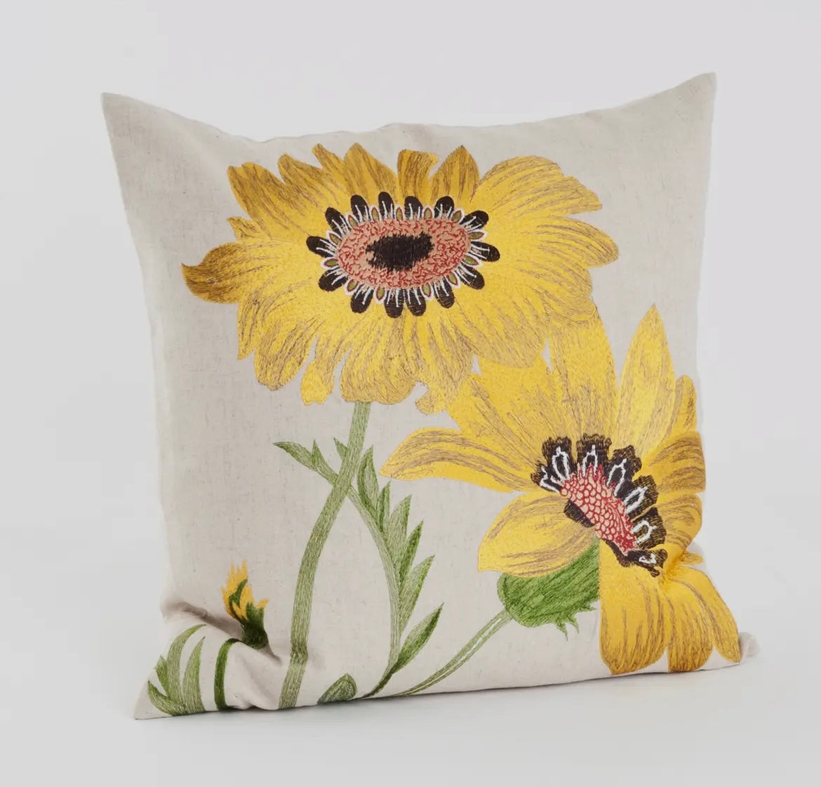 Embroidered Pillows