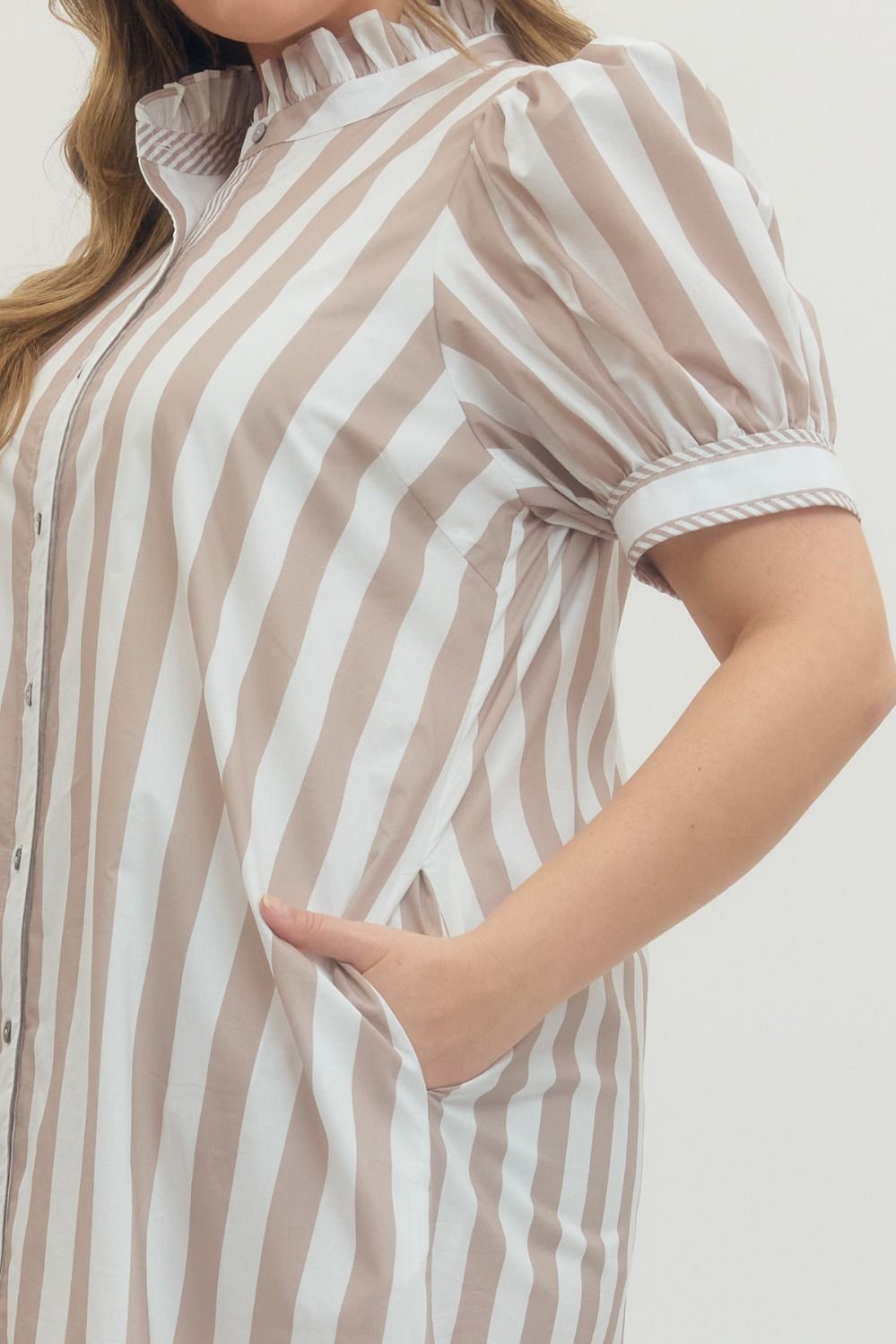 The Starling Plus Size Dress