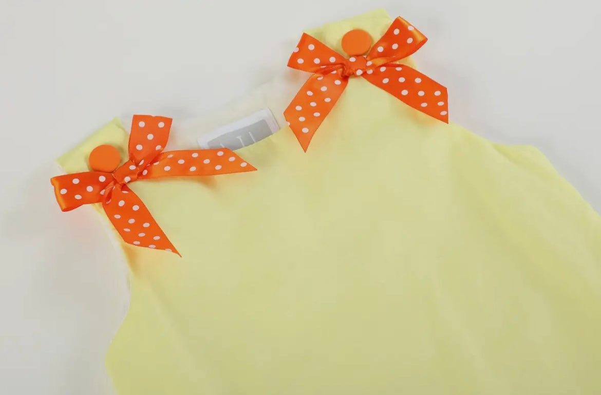 Lil Cactus Pumpkin Patch Jumper Dress