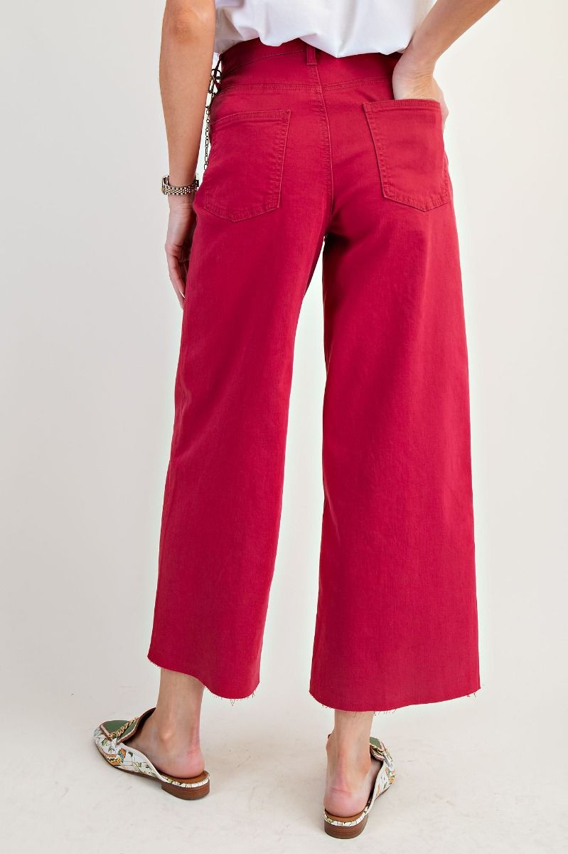 Easel Button Fly Twill Wide Bottom Pants