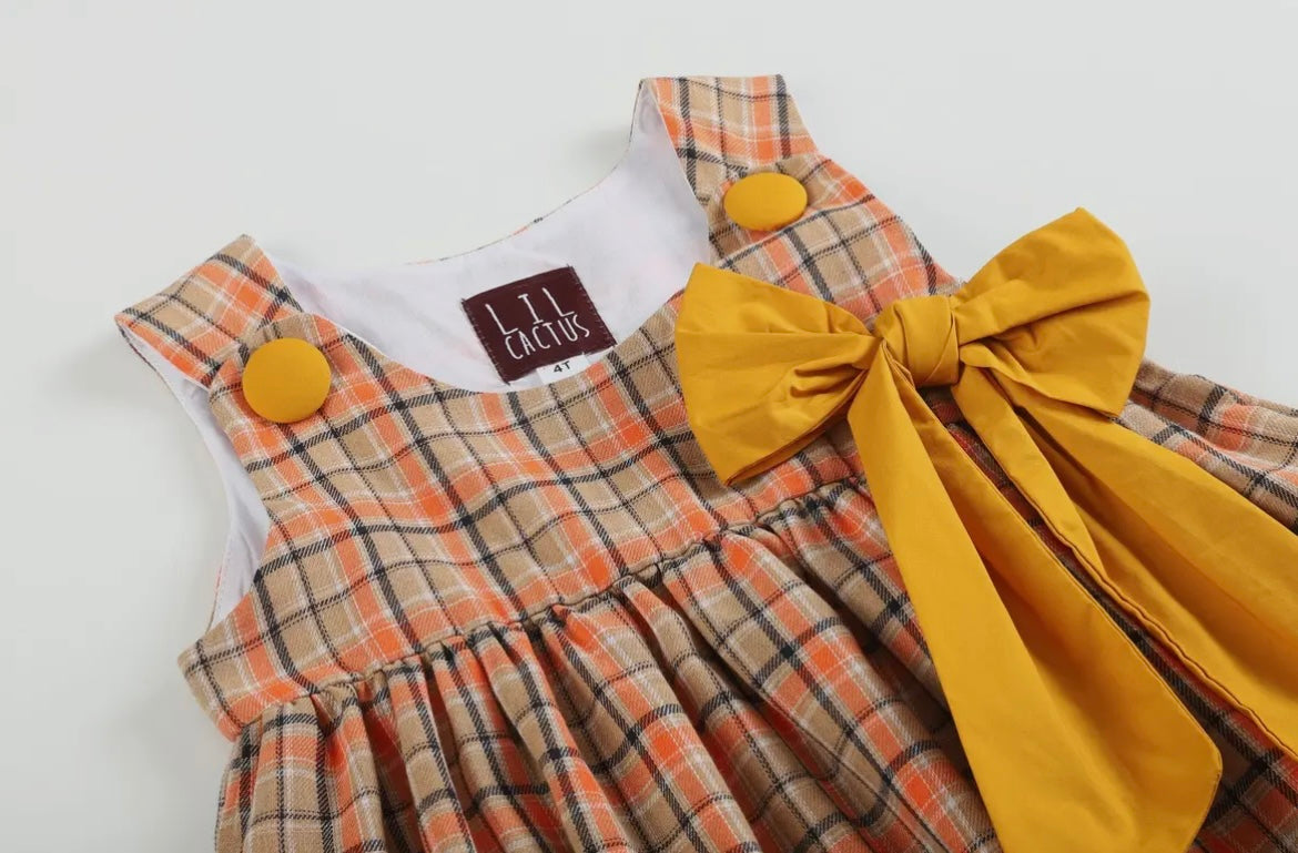 Lil Cactus Brown Plaid Turkey Jumper Dress