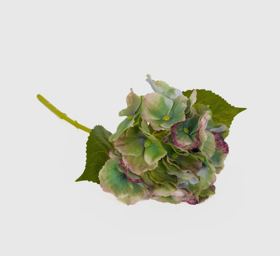 Antique Green Real Touch Hydrangea 14” Stem