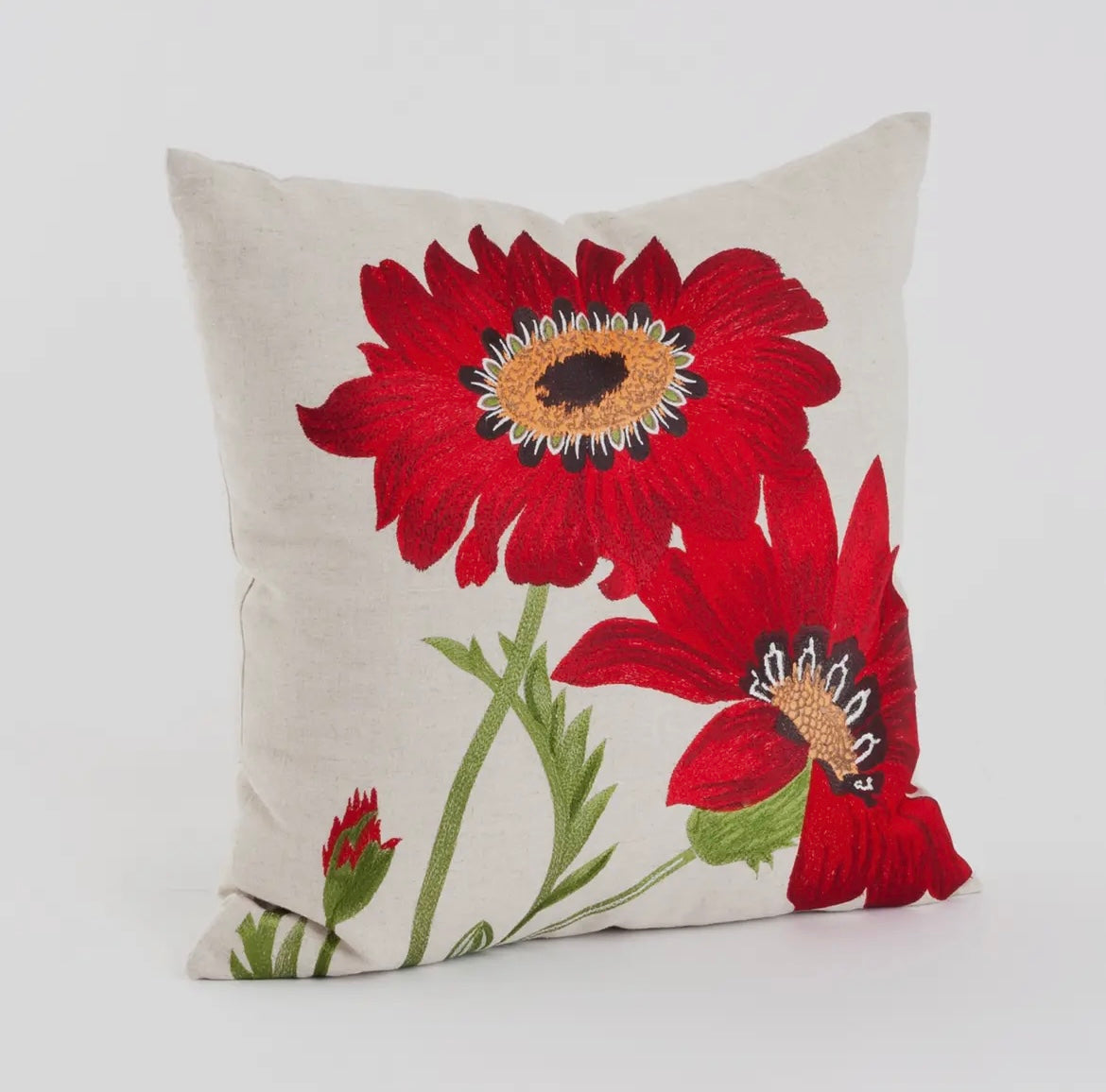 Embroidered Pillows
