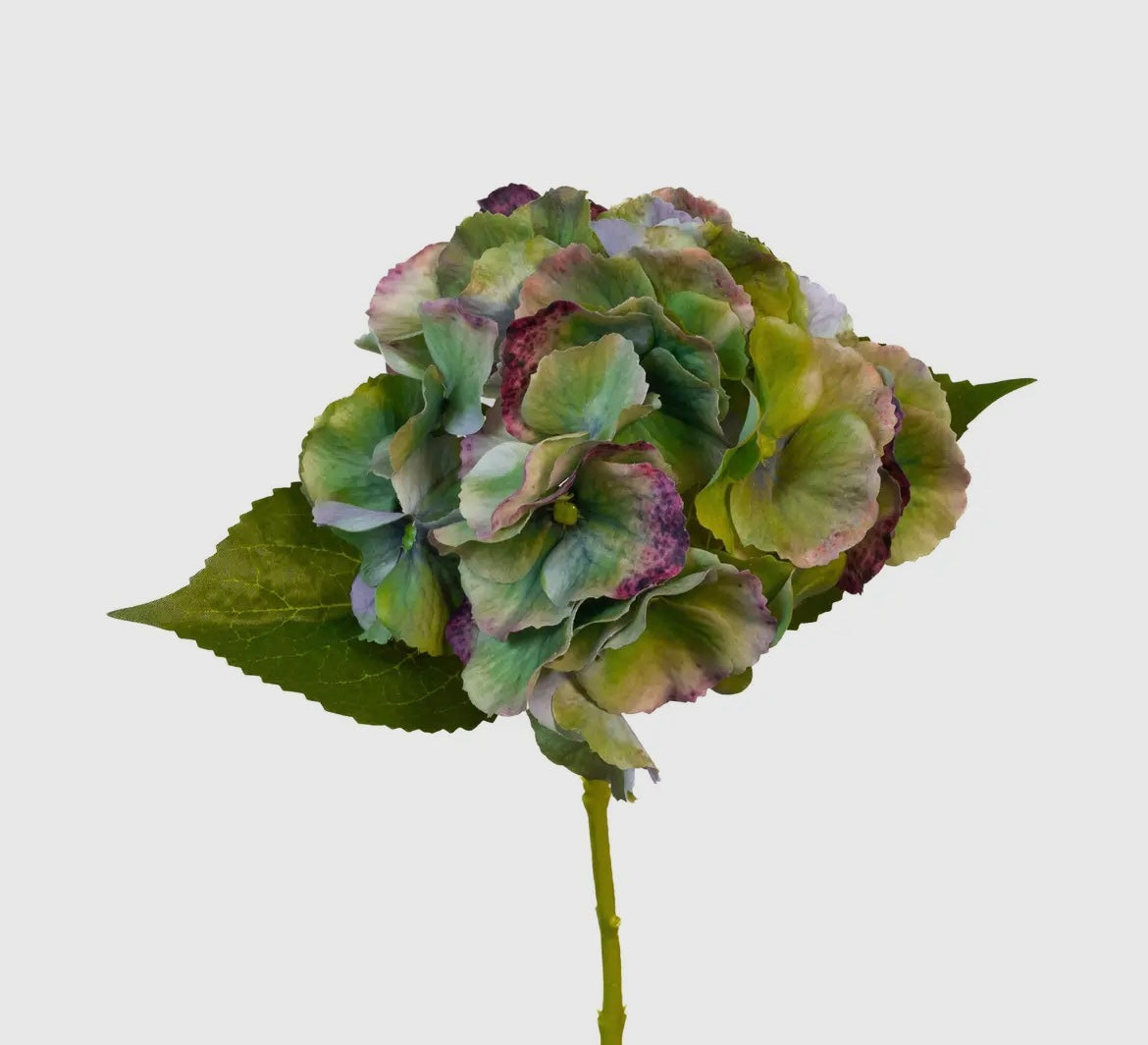 Antique Green Real Touch Hydrangea 14” Stem