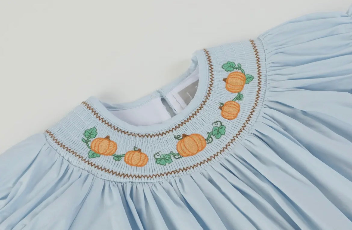 Lil Cactus Light Blue Smocked Pumpkin Bishop Dress