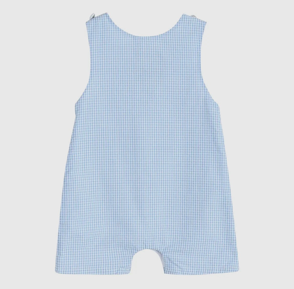Lil Cactus Blue Gingham Smocked Overalls