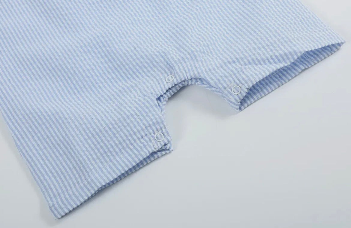 Lil Cactus Blue Gingham Easter Bunny Face Shortalls