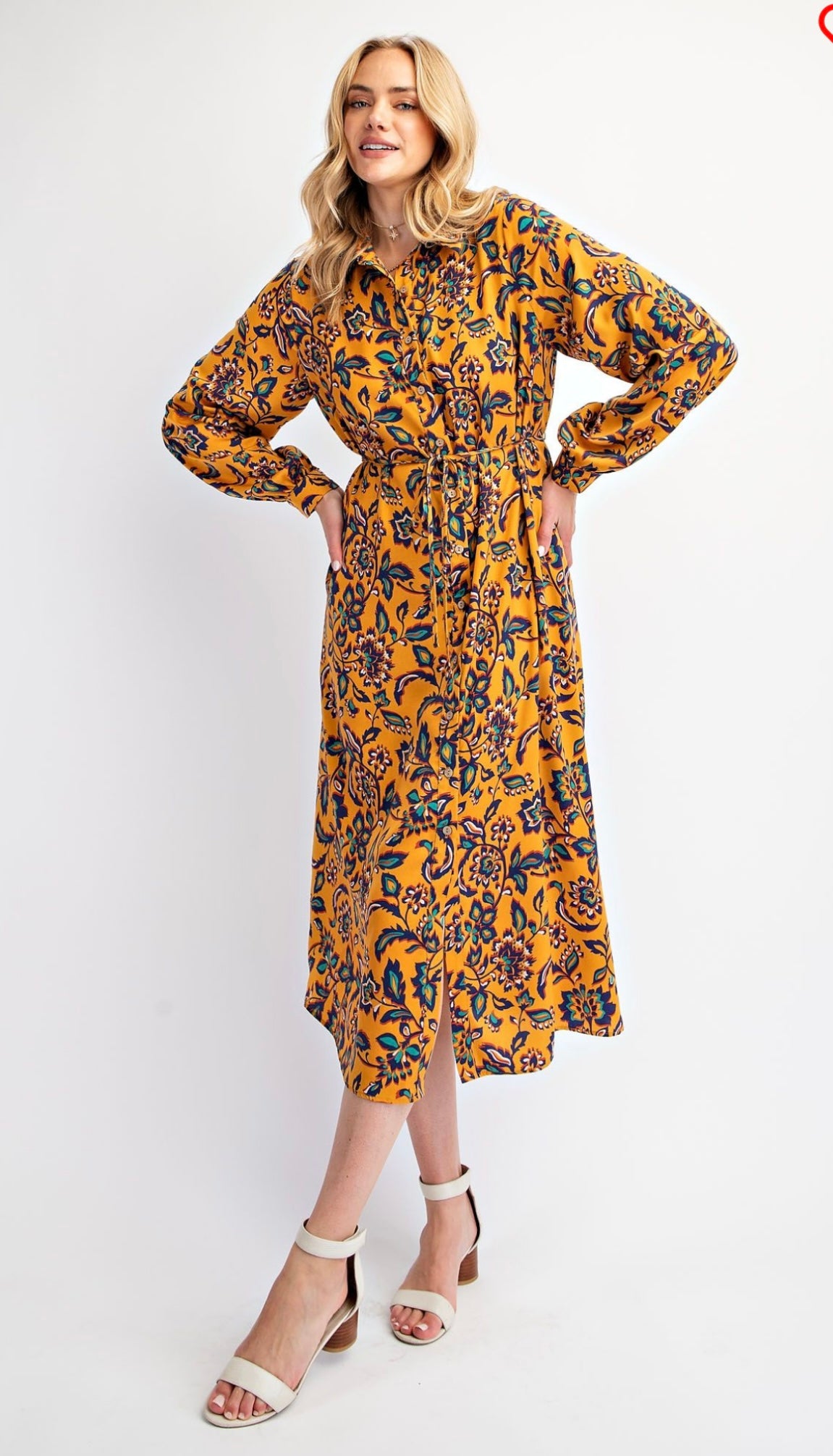 Carley Paisley Plus Size Dress