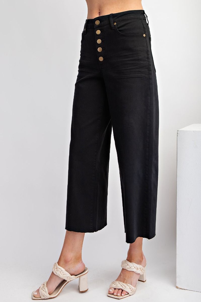 Easel Button Fly Twill Wide Bottom Pants