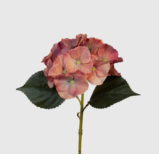 Antique Terra Cotta Hydrangea 14” Stem