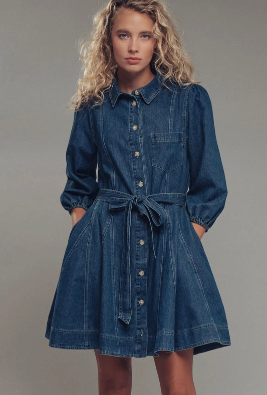 The Freida Denim Dress