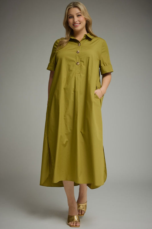 The Danna Plus Size Dress
