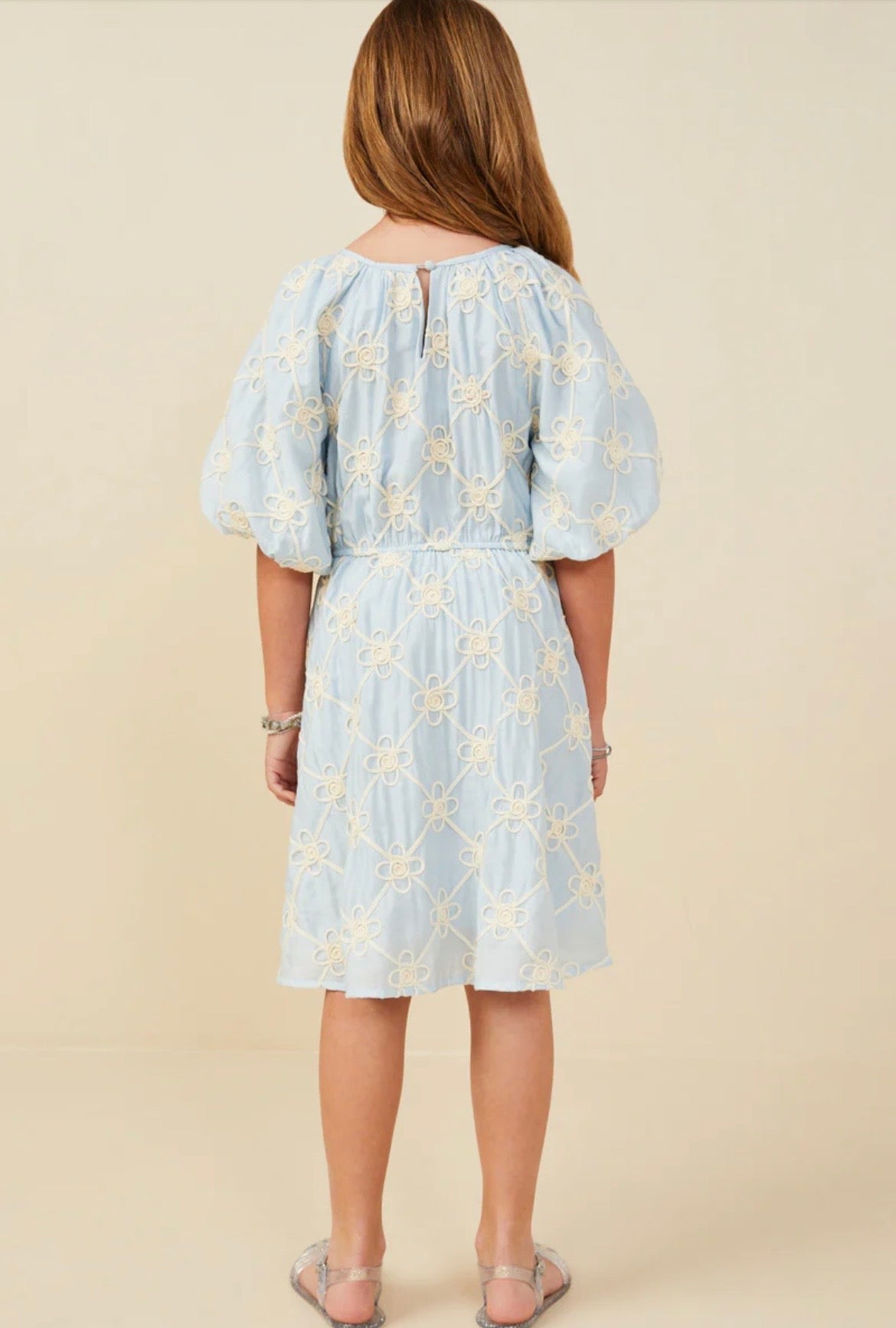 Hayden Embroidered Dress