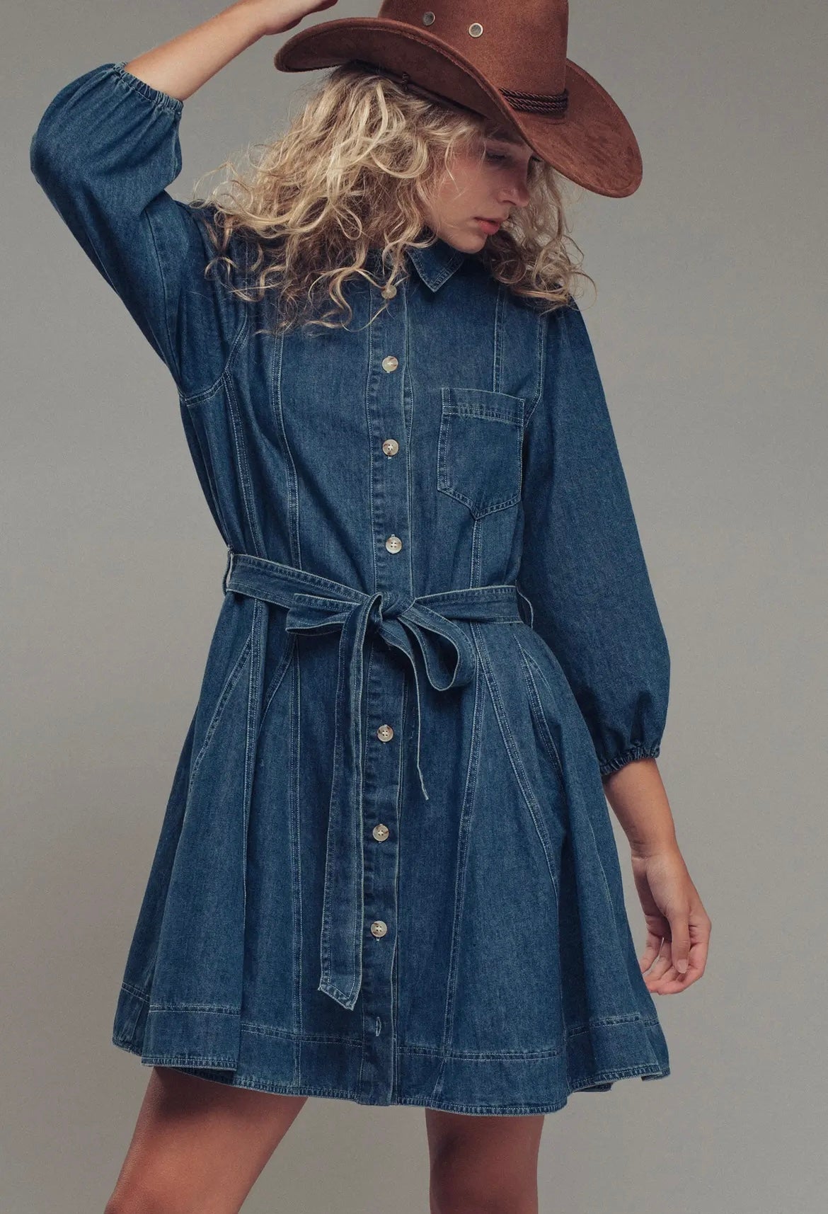 The Freida Denim Dress