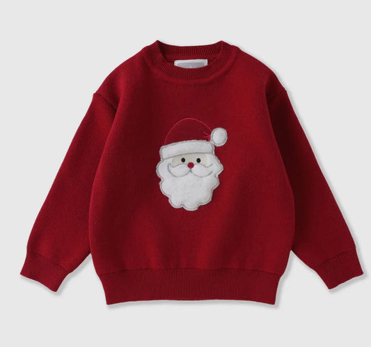 Lil Cactus Red Santa Sweater