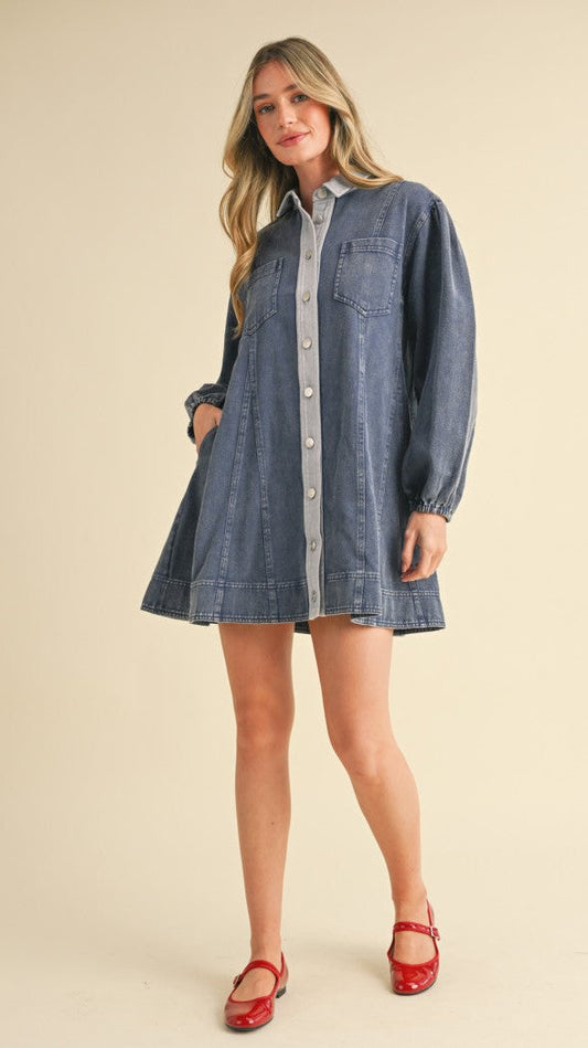 Nanda Two Tone Denim Dress