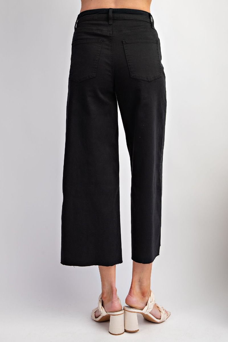 Easel Button Fly Twill Wide Bottom Pants