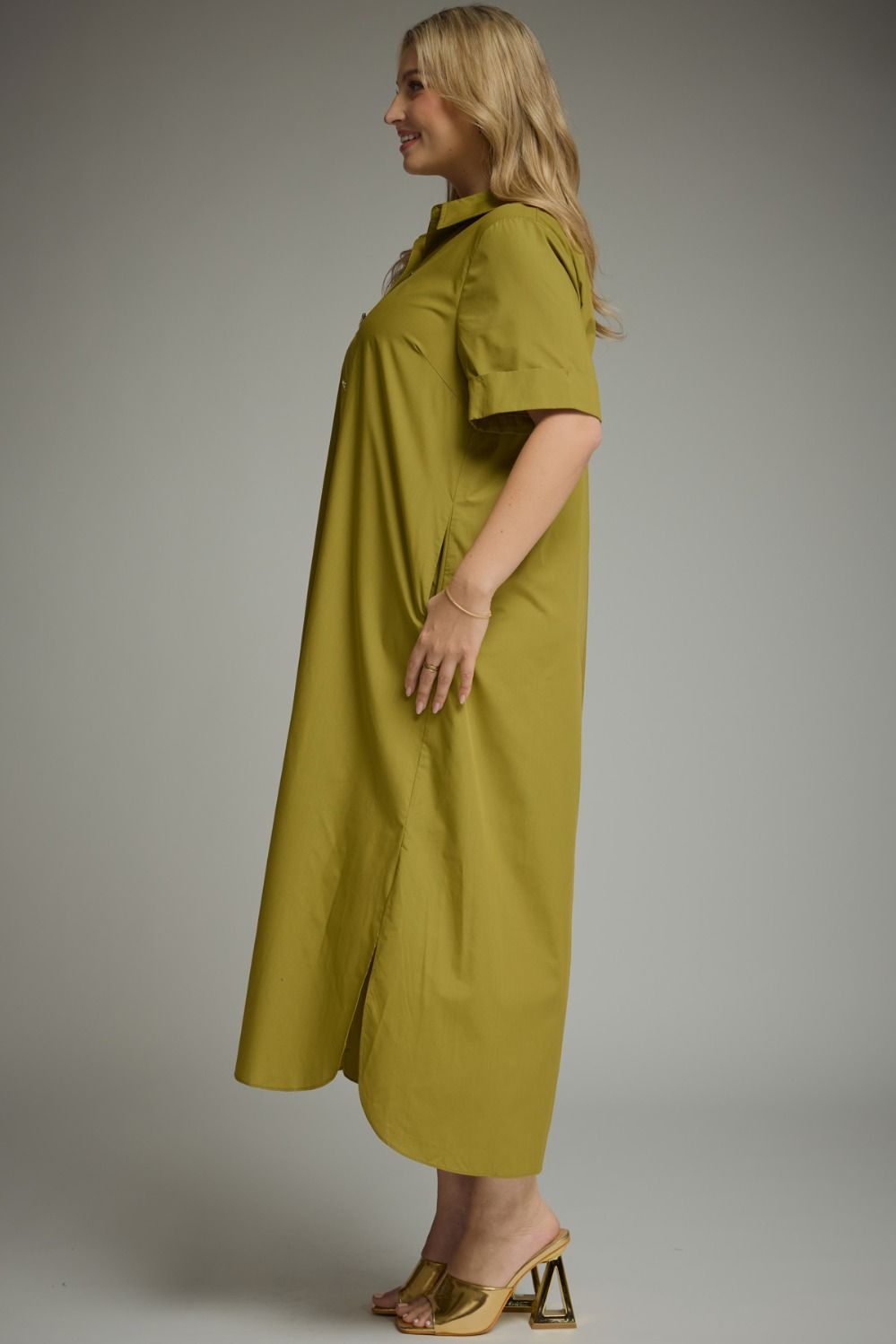The Danna Plus Size Dress