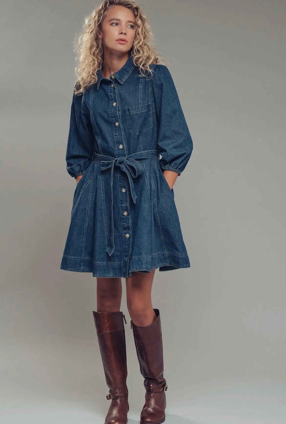 The Freida Denim Dress