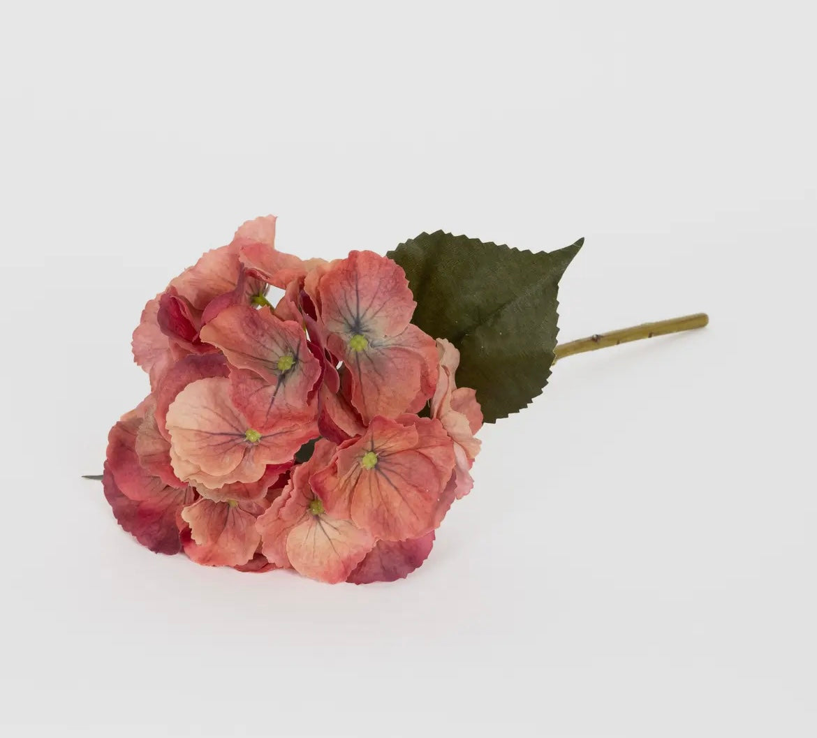 Antique Terra Cotta Hydrangea 14” Stem