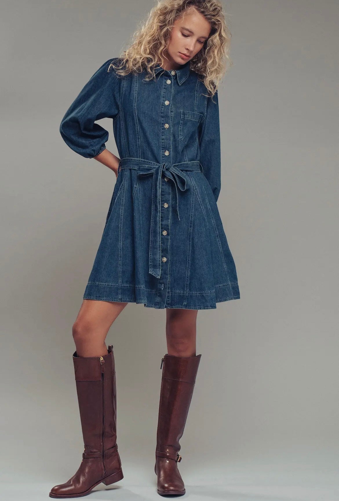 The Freida Denim Dress