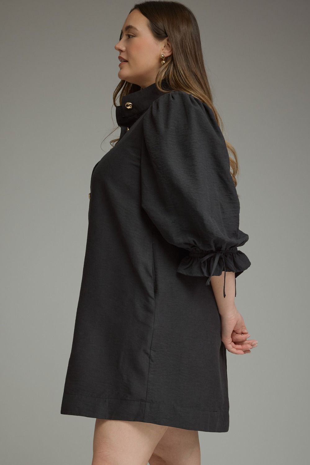 The Dianna Plus Size Dress