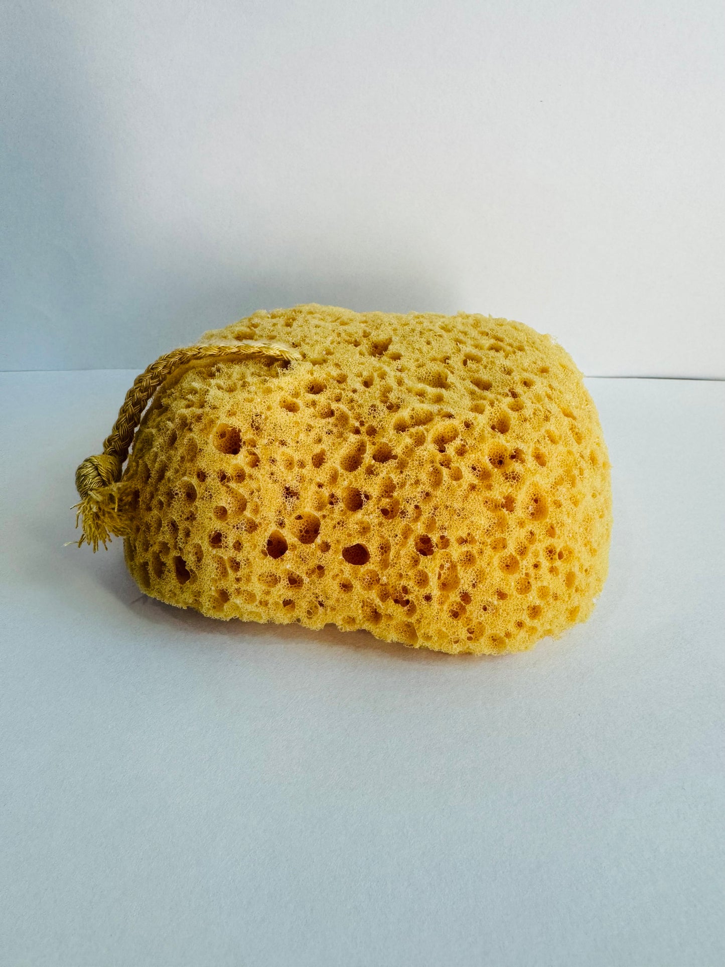 Sponge