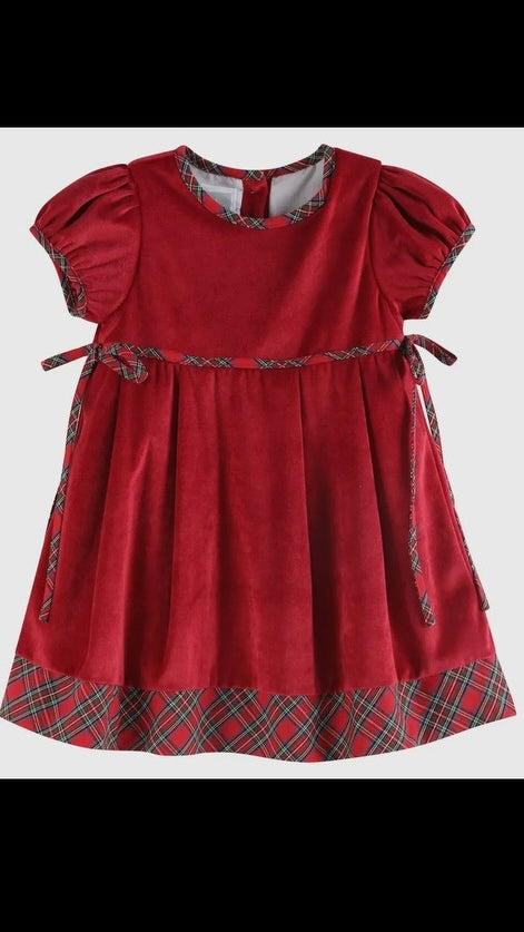 Lil Cactus Red Velvet Dress