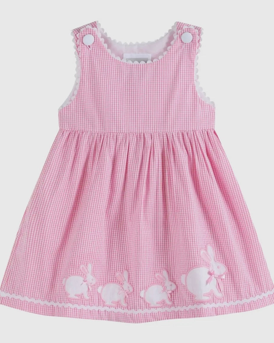 Lil Cactus Pink Gingham Bunny Family Dress